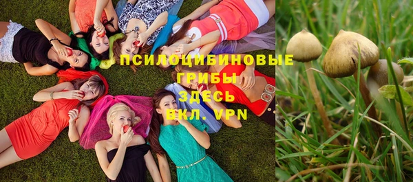 прущие крисы Михайлов