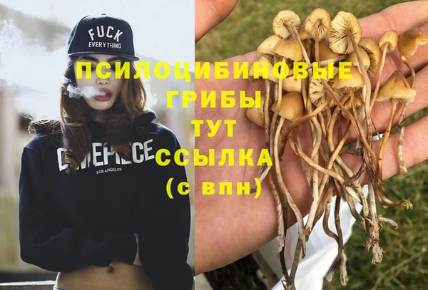 кристаллы Михайловск