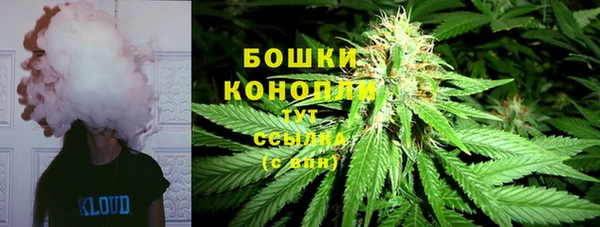 PSILOCYBIN Михайловка