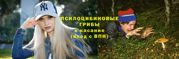 прущие крисы Михайлов