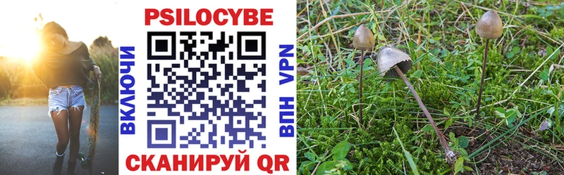 Псилоцибиновые грибы мицелий  продажа наркотиков  ОМГ ОМГ вход  Трубчевск 